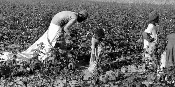 sharecropping after civil war